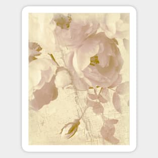 Romantic roses beige Sticker